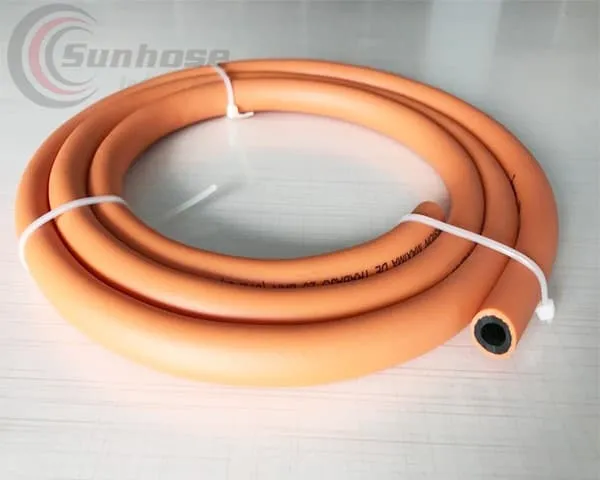 Flexible gas hose